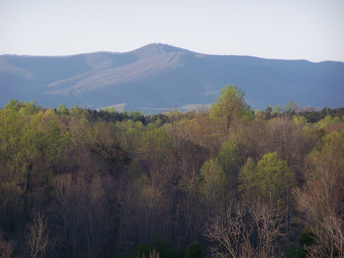 Patrick County, Virginia